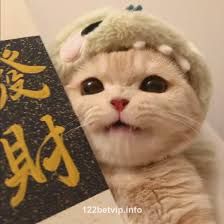 Avatar do usuário Lucas